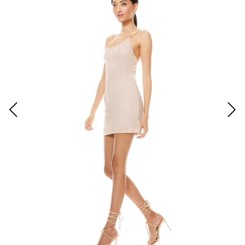 NWT Alice + Olivia Nelle Crystal Embellished Mini dress - Picture 5 of 12